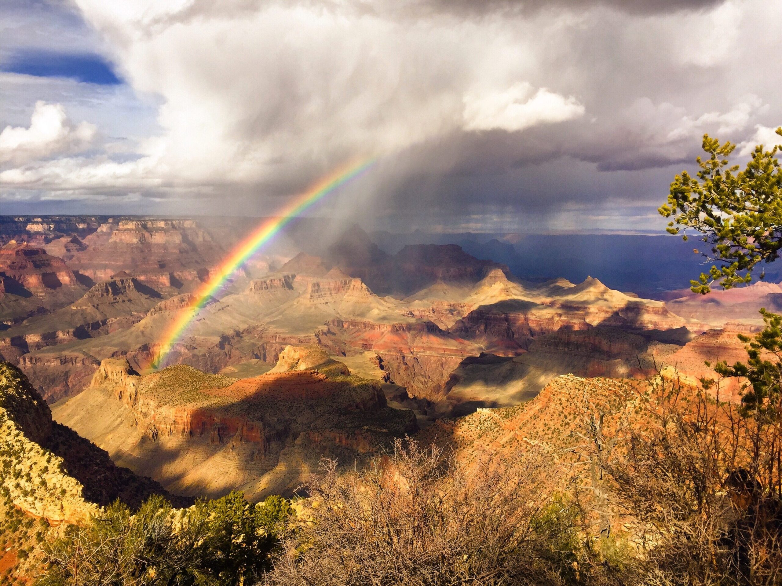 Rainbow over Horseshoe Mesa from Grandview Point