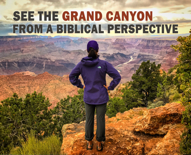 See the Grand Canyon Daily Tours See the Grand Canyon Daily Tours