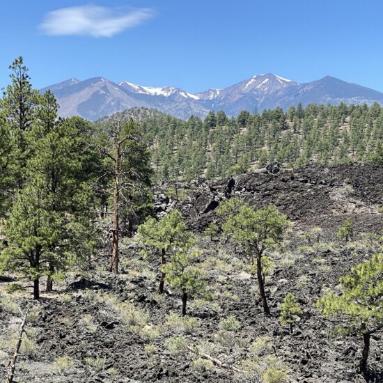 Sunset Crater Lava Flow and San Francisco Peaks